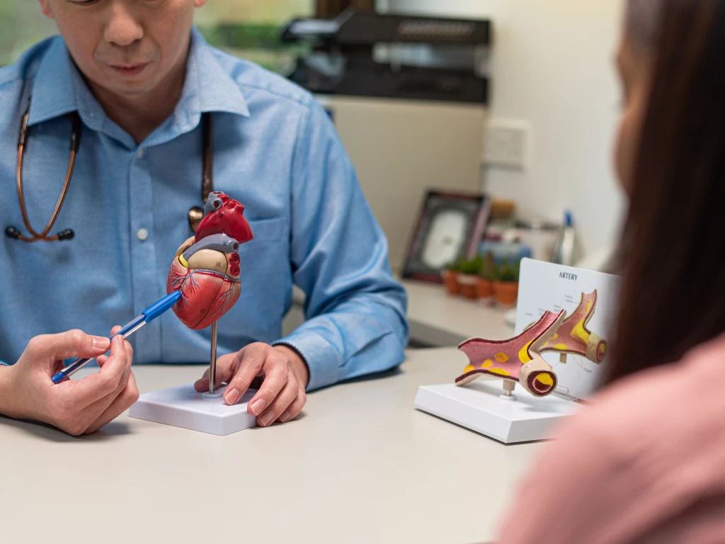 Doctor explaining heart health and cardiovascular anatomy to a patient